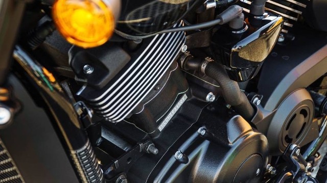 Kultowy Harley-Davidson ma już 115 lat. Z tej okazji amerykański producent motocykli wypuścił na rynek osiem nowych krążowników szos. Zapowiadana rewolucja, to szereg modyfikacji konstrukcyjnych oraz zupełnie nowy silnik. Fot. Maksym Boldashev