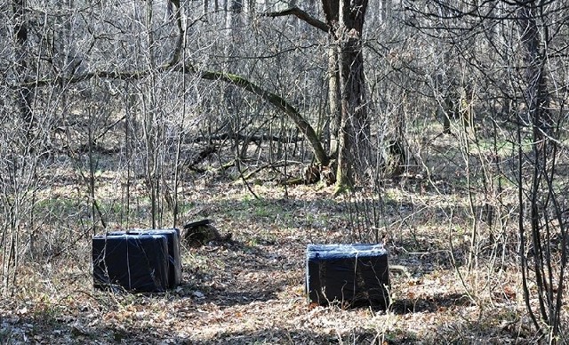 Owinięte czarną folią kartony porzucone były w lesie.