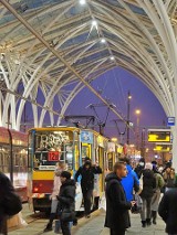 Od listopada więcej autobusów i tramwajów pojedzie do kampusu Uniwersytetu Łódzkiego