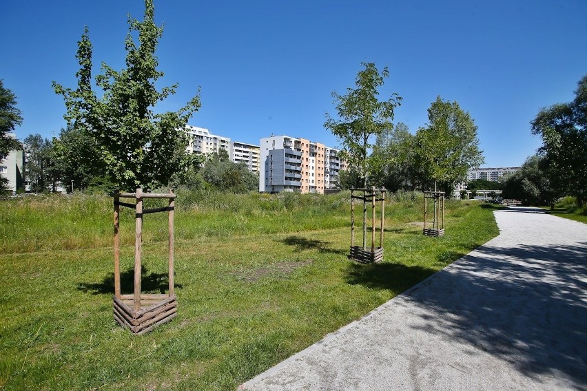 Park Leonarda się powiększy. Stanie tam maszyna latająca,...