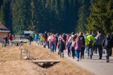 TPN wprowadza dodatkowe ograniczenia na szlakach Tatrach Zachodnich. Wszystko przez tokowiska głuszca i cietrzewia