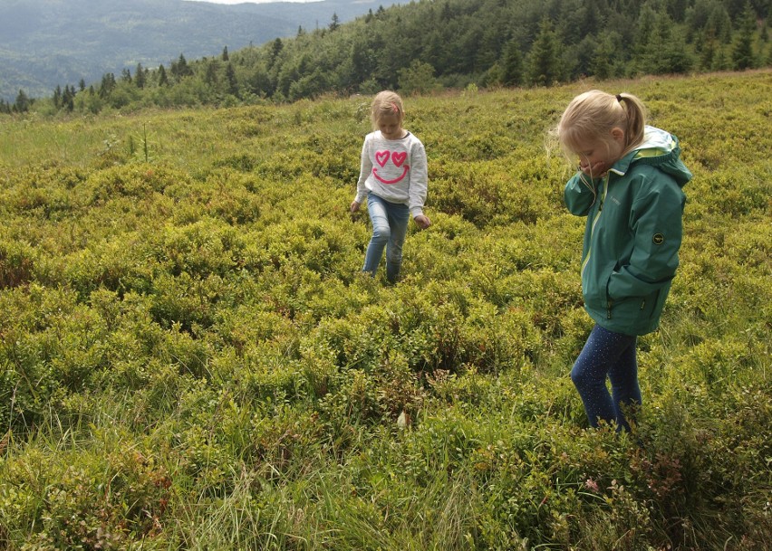 Odkryj Beskid Wyspowy. Mimo niesprzyjającej pogody pokonali Jasień [ZDJĘCIA]