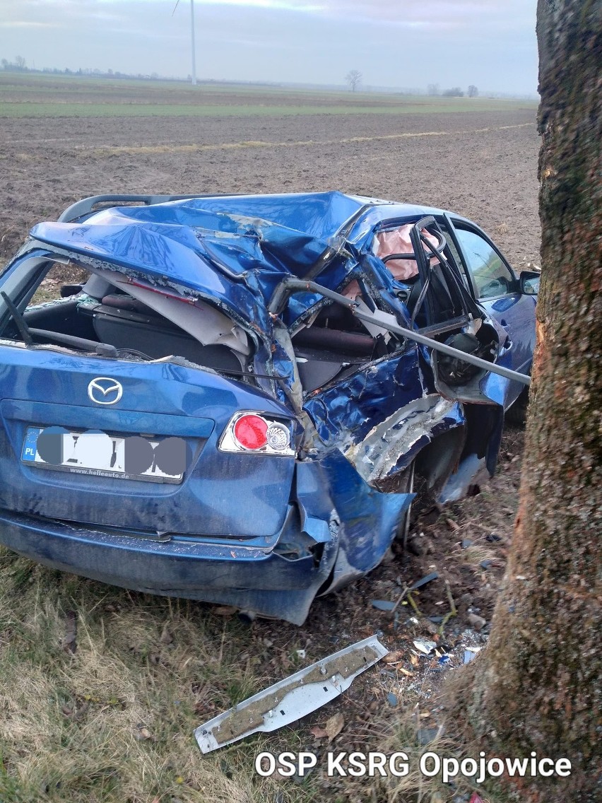 Wypadek w gminie Czarnożyły. Pijany kierowca mazdy wjechał w drzewo. Trafił do szpitala