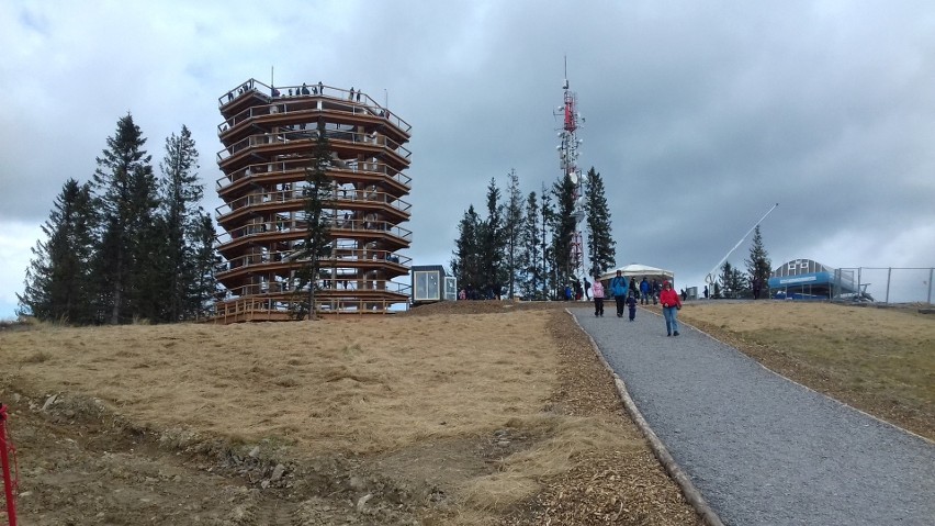 Tatry. Ścieżka w koronach drzew przyciąga tłumy