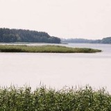Jezioro Stackie (Rajgrodzkie)