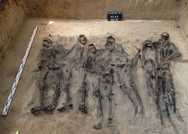 W grobie odkryto szczątki sześciu osób