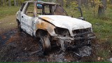 Dębnica Kaszubska. Auto zostało ukradzione, a później spalone. Mieszkaniec prosi o pomoc  (ZDJĘCIA) 