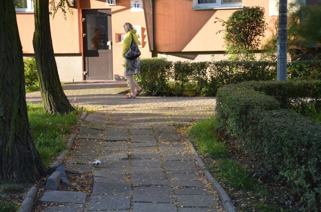 Z miejskiej dotacji zostaną m.in wymienione chodniki przy Armii Krajowej 1d-f