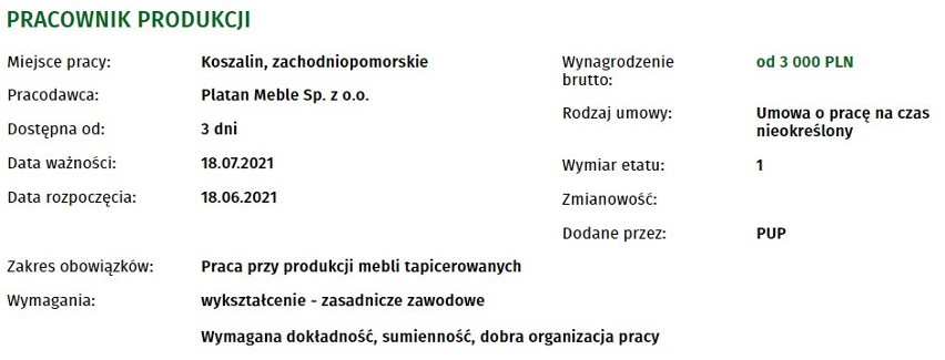 Nowe oferty pracy w Koszalinie. Sprawdź szczegóły, zarobki, warunki