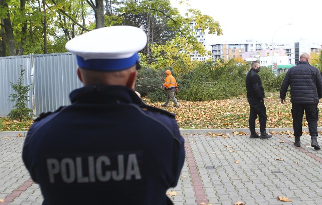 Wycinka drzew przy ulicy Dominikańskiej w Rzeszowie.