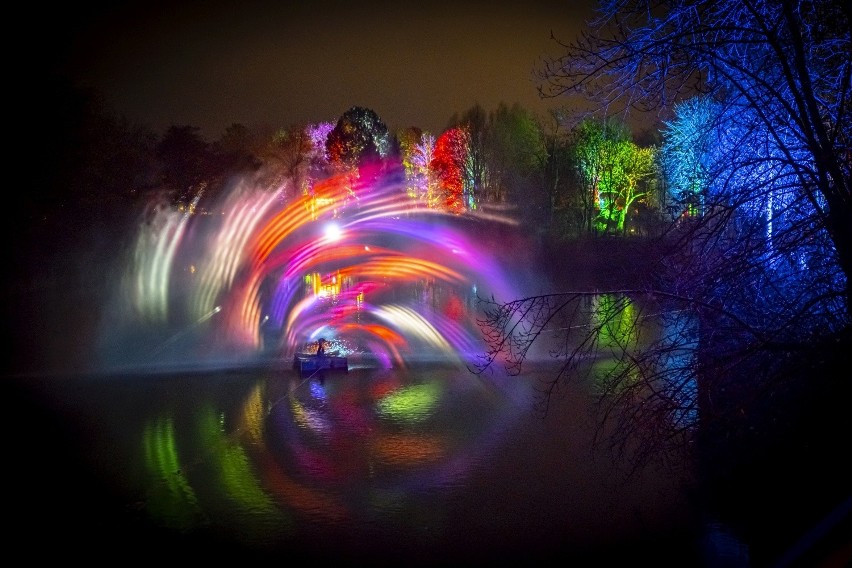 Magia świateł w Śląskim Ogrodzie Zoologicznym. Christmas Garden po raz pierwszy w Polsce