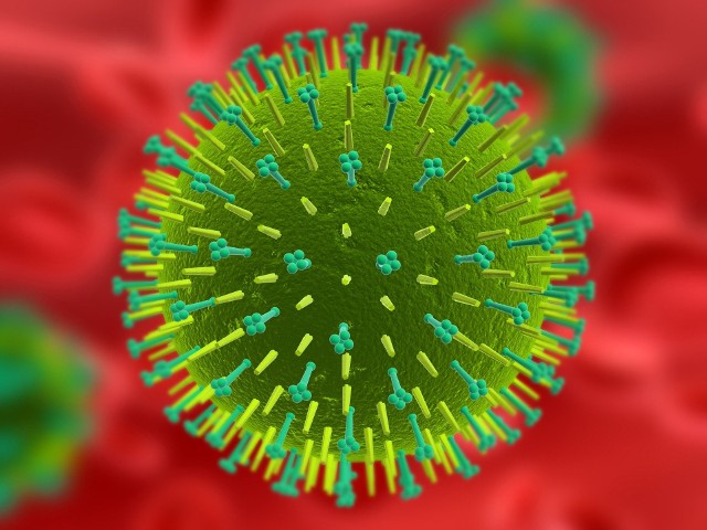 Jak ustaliliśmy, przyczyną śmierci mężczyzny był wirus AH1N1, wywołujący tzw. świńską grypę.
