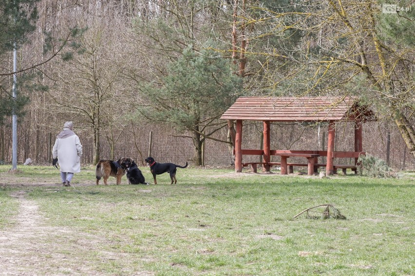 Od soboty 10.04.2021 nowe rozporządzenie. Zmiany dotyczą m.in. właścicieli psów. Co się zmienia?