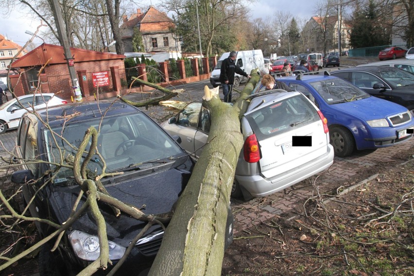 Wichura we Wrocławiu. Połamane drzewa, uszkodzony dach szpitala [ZDJĘCIA]