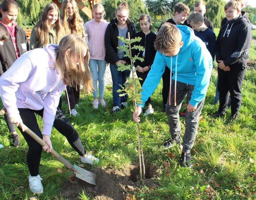 Akcja sadzenia drzew w gminie Rudniki
