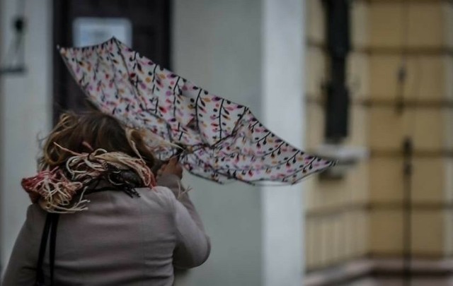 Jest ostrzeżenie dla części województwa lubuskiego przed silnym wiatrem.