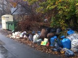 Mój Reporter: Dlaczego nie wywożą śmieci z Sępolna? Ekosystem: Alba musi to posprzątać