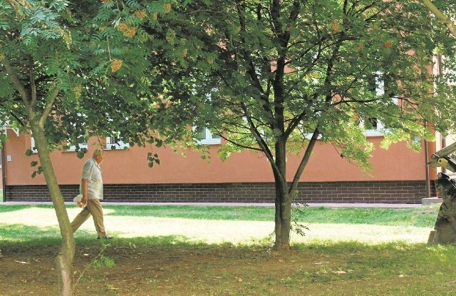 Czytelnia pod chmurką powstanie wśród drzew, przed budynkiem Biblioteki Pedagogicznej, od strony ulicy Wyspiańskiego.