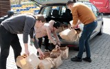W Grudziądzu wolontariusze rozwożą tysiąc paczek świątecznych potrzebującym seniorom. Zobacz zdjęcia 