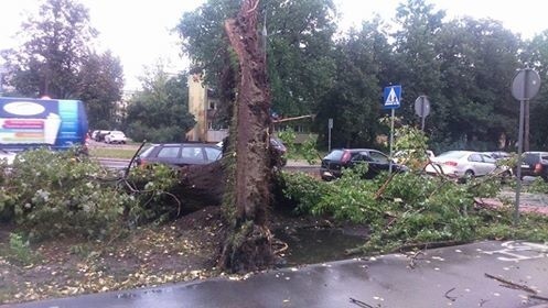 Burza w Łodzi. Nawałnica nad Łodzią. Powalone drzewa, gałęzie na drogach, zalane ulice [ZDJĘCIA]