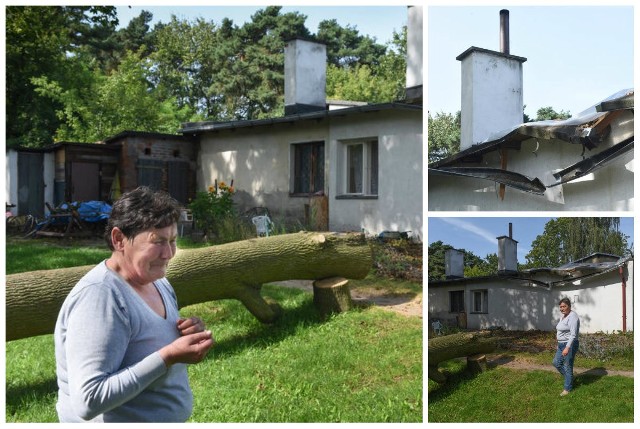 Tak wygląda domek pani Grażyny przy ulicy Rudackiej , na który podczas sierpniowej wichury runął 15-metrowy klon. Zamiast części dachu jest folia.