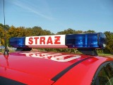 Strażacy z Bytowa uratowali rottweilera