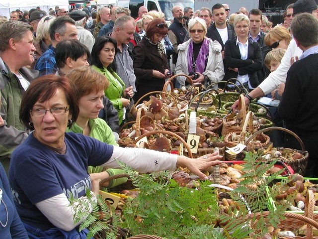 Ponad 500 kg grzybów uzbierało trzynaście kilkuosobowych drużyn