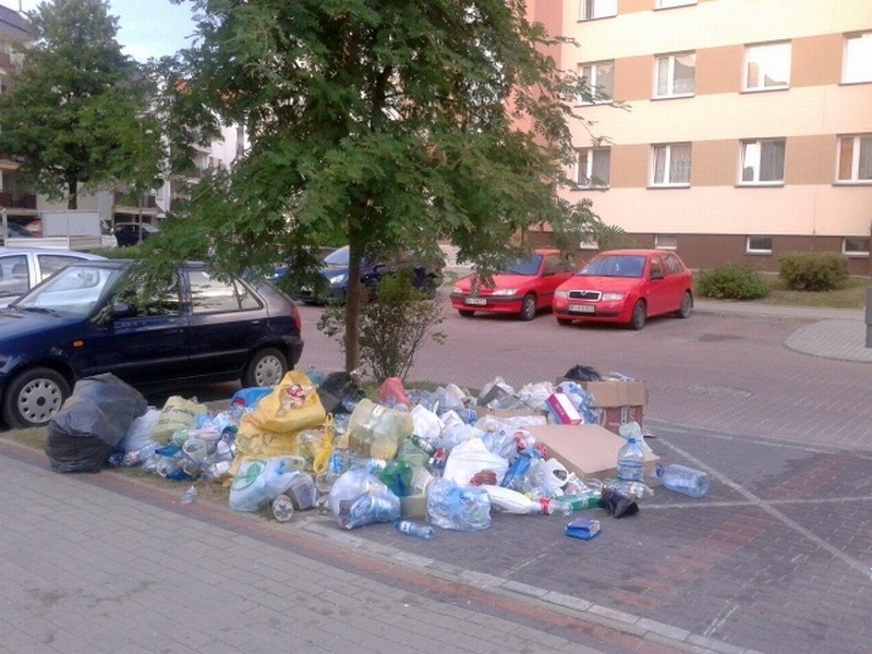 Rewolucja śmieciowa w Białymstoku. MPO wchodzi do gry, Czyścioch z karą (zdjęcia Internautów)