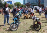 Złap iskrę - romety, komarki, ogarki opanowały Kozienice. Odbył się tu zlot starych motocykli. Zobacz zdjęcia