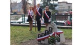Przy pińczowskim liceum posadzono Dąb Pamięci - to jest hołd dla absolwenta szkoły Jana Wykurza zabitego w Katyniu
