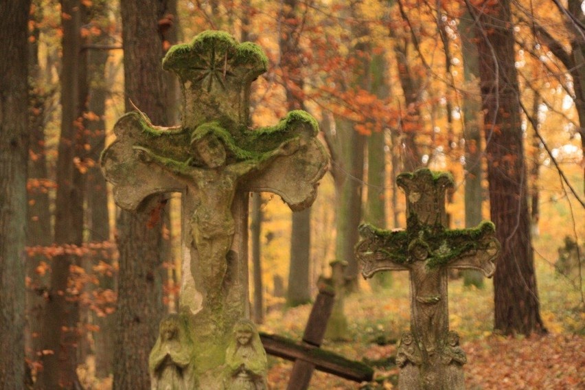 Cmentarz w nieistniejącej wsi Sieniawka w Nadleśnictwie...