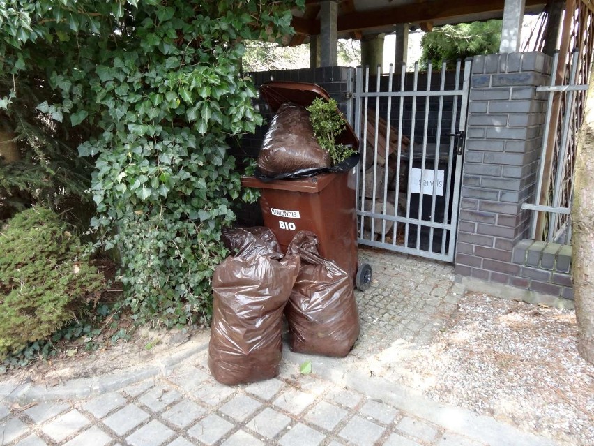 Najwięcej problemów z odbiorem śmieci ma firma Remondis. W...