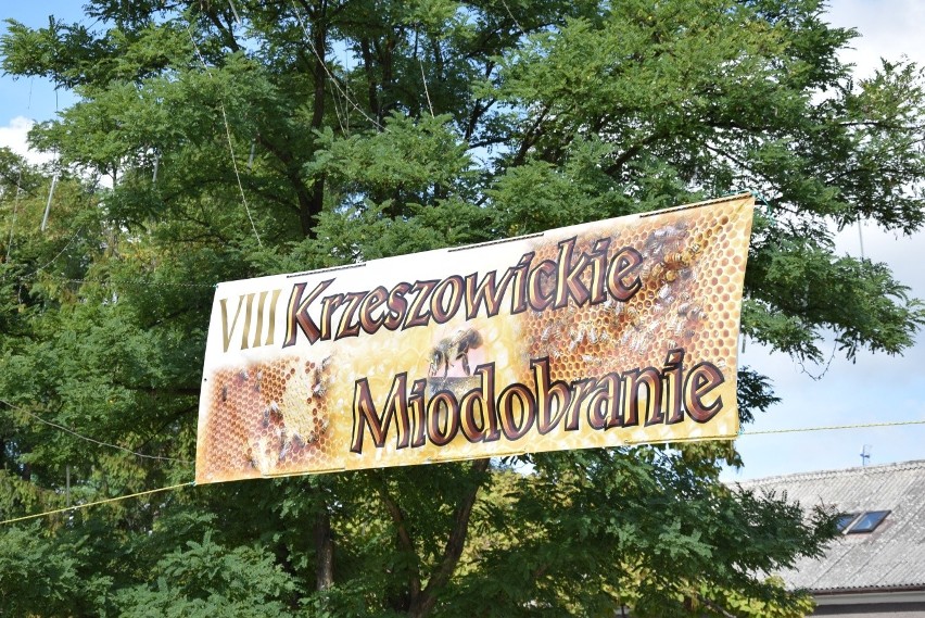 Miodobranie w Krzeszowicach ze zbiórką miodu dla niepełnosprawnych z Radwanowic