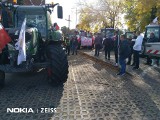 Protest rolników w regionie. Jechali traktorami ze Wsoli do Radomia i do Cerekwi. Są utrudnienia [ZAPIS TRANSMISJI, ZDJĘCIA]