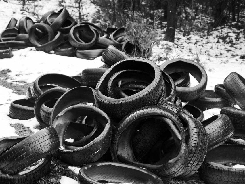 Nadleśnictwo Cewice. Ktoś porzucił w lesie tysiąc starych opon samochodowych. Szukają sprawcy [zdjęcia]
