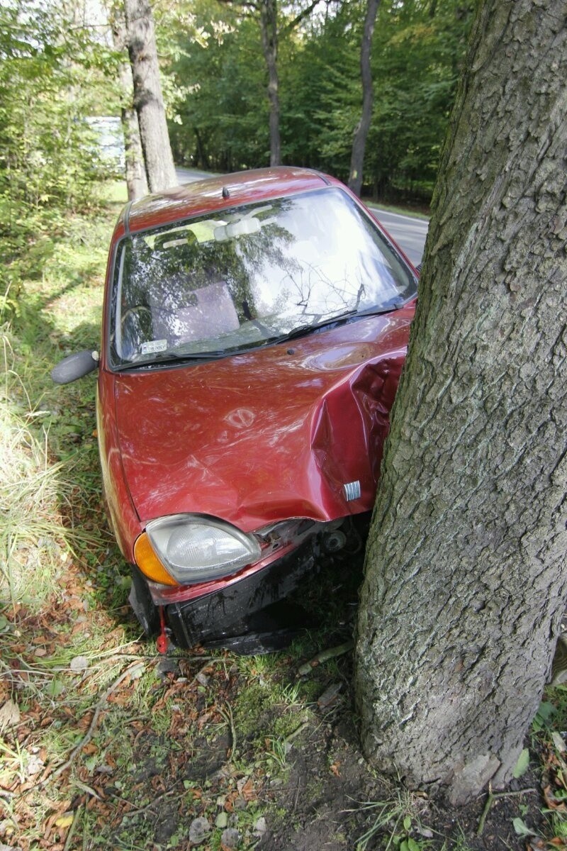 Wrocław: Wypadek na Marszowickiej. Fiat wjechał w drzewo [ZDJĘCIA]