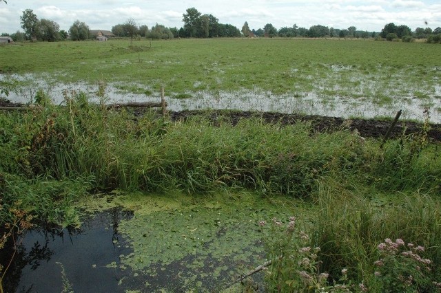 Tak w 2010 r. wyglądały zalane pola rolników z gminy Krzeszyce. To właśnie od tego zaczęła się batalia o odszkodowanie...