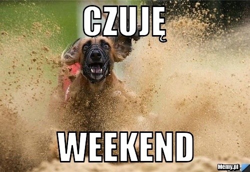 Weekend - memy. Piątek, piąteczek, piątunio rozpoczyna...