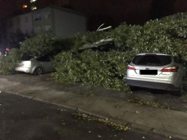 Zdjęcia z ulicy Grunwaldzkiej 7 w Kielcach nadesłał Igor.