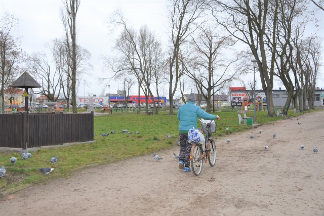 Park 700-lecia w Nakle po nawałnicy stał się prawie „łysy”