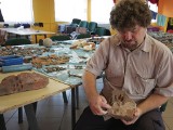 Niezwykłe odkrycia archeologów na zamku w Radzyniu Chełmińskim [wideo, zdjęcia] 