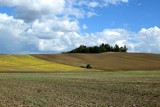 5 zmian w rolnictwie, które warto poznać. Dotyczą paliwa, dopłat czy ubezpieczeń [7.01.2020]