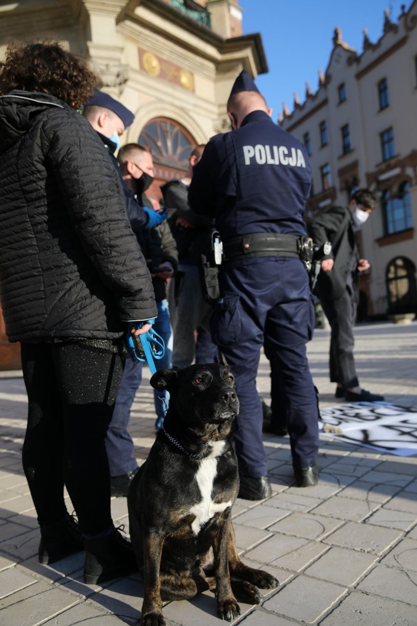 Kraków. Protest w geście solidarności z Babcią Kasią