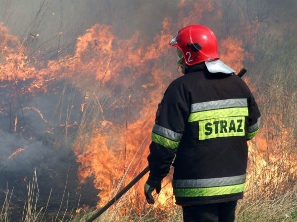 Pożar lasy w Herbach