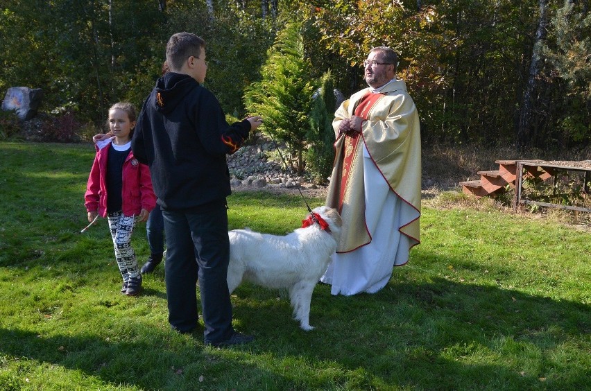 Psy, koty i konie na mszy św. w Kalonce [ZDJĘCIA]