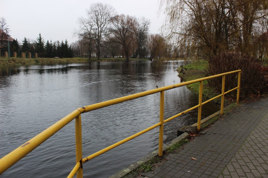 - Już dawno tak wysokiego stanu w Obrze nie było. Jak tak...