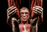 Body Worlds Vital w Poznaniu. Mamy zdjęcia z Galerii Pestka