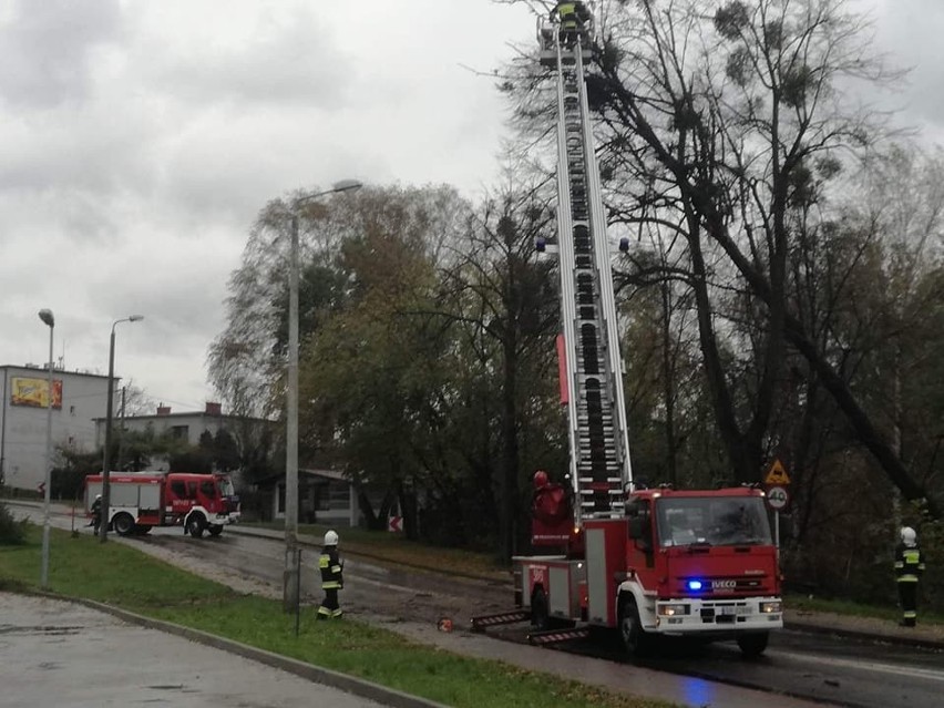 Orkan Grzegorz w Rybniku łamał drzewa, latarnie i słupy...