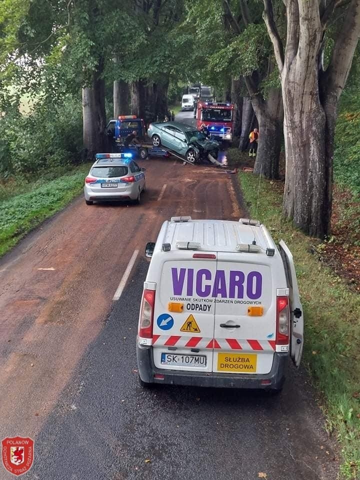 Wypadek na drodze wojewódzkiej nr 206. Auto osobowe uderzyło w drzewo ZDJĘCIA