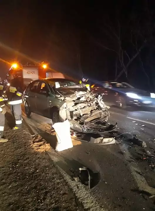 Wypadek w miejscowości Paprotnia